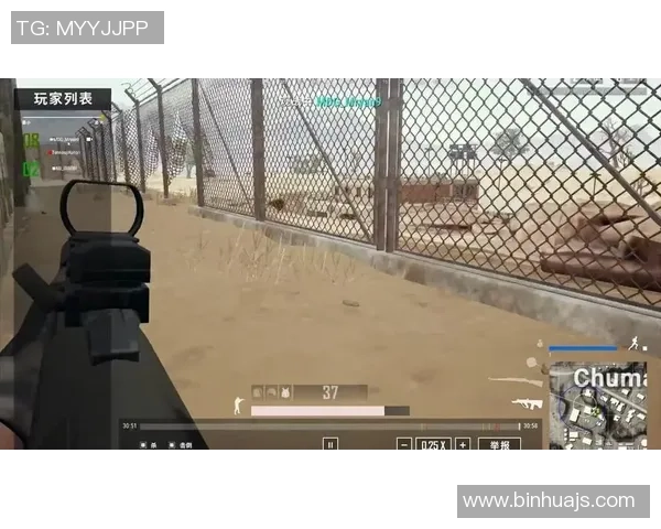 杭州滑板队战术深度解析与对比研究揭秘